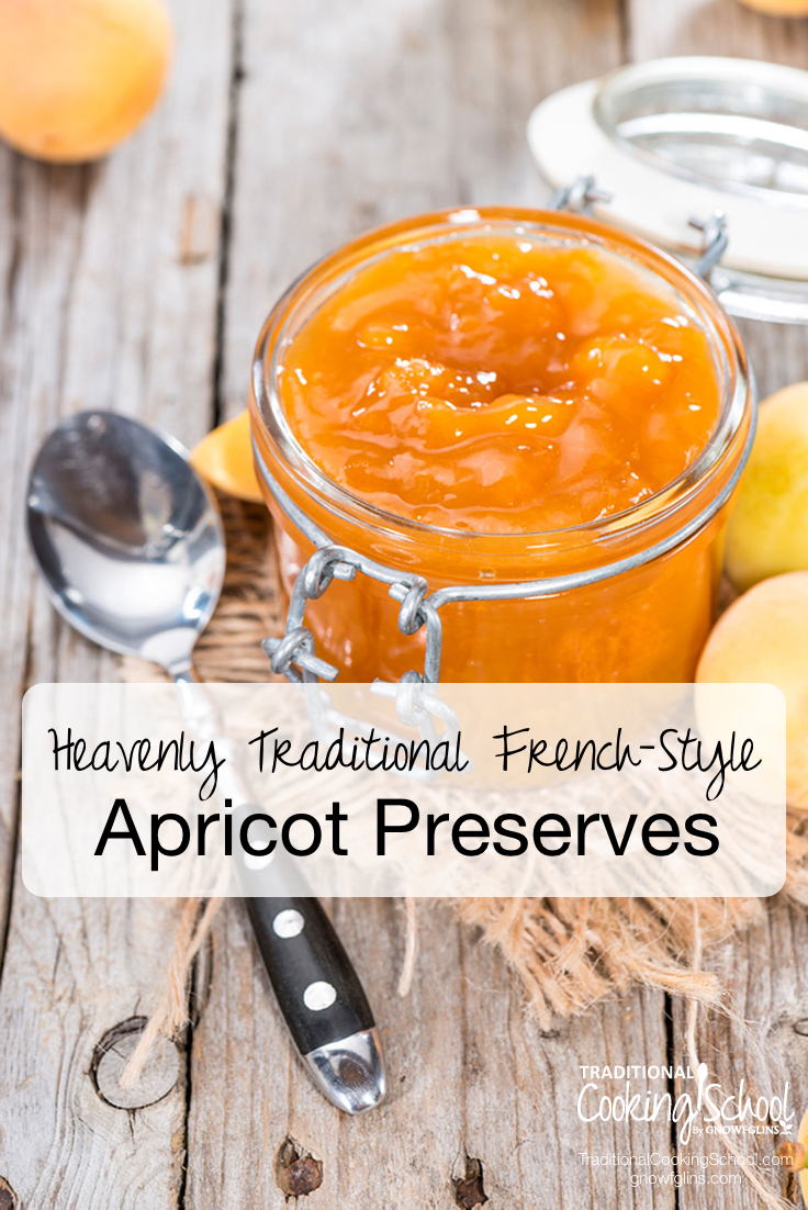 Heavenly Traditional FrenchStyle Apricot Preserves