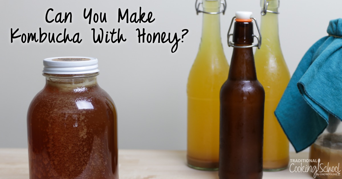 Can You Make Kombucha With Honey? Traditional Cooking School