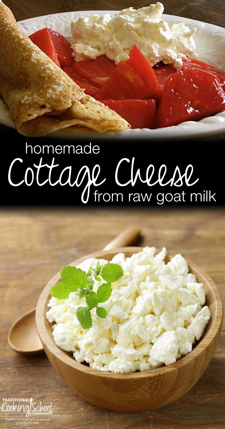 Homemade Cottage Cheese From Raw Goat Milk Traditional Cooking
