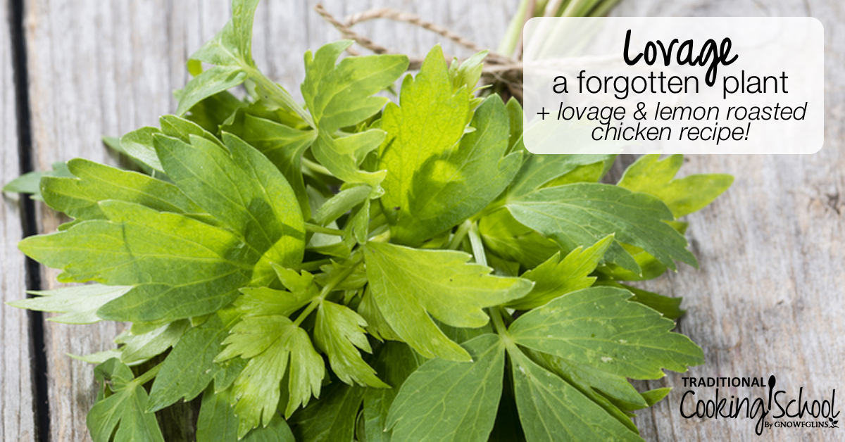 What Is Lovage Lovage And Lemon Roasted Chicken Recipe