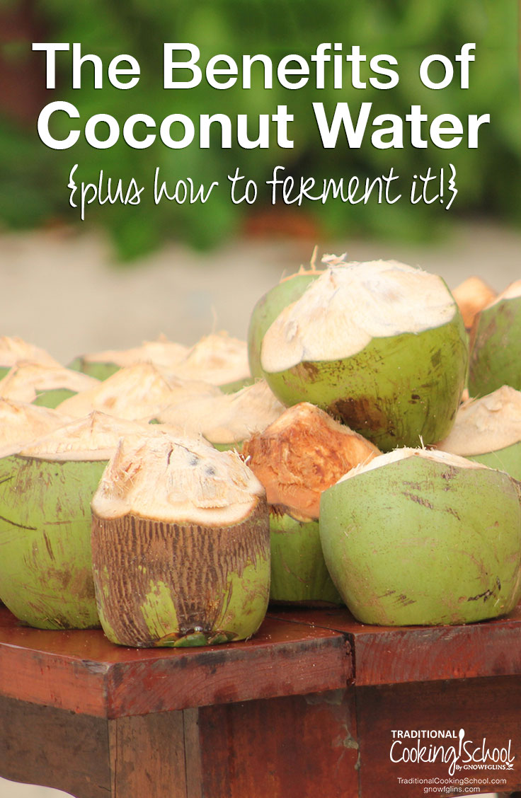 benefits of coconut water + how to ferment it