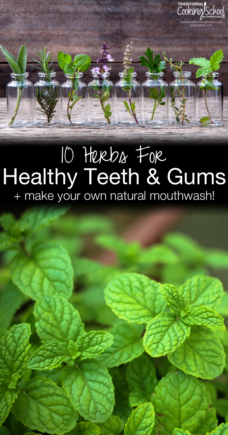 Top 10 Herbs For Healthy Teeth PLUS DIY Natural Mouthwash