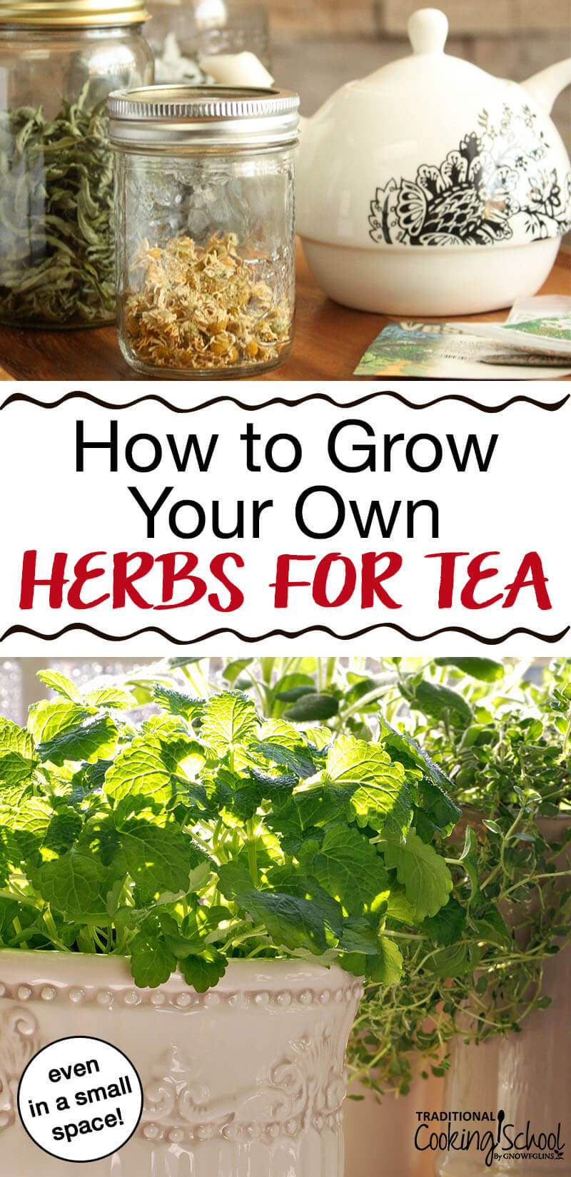 how-to-easily-grow-your-own-tea-herbs