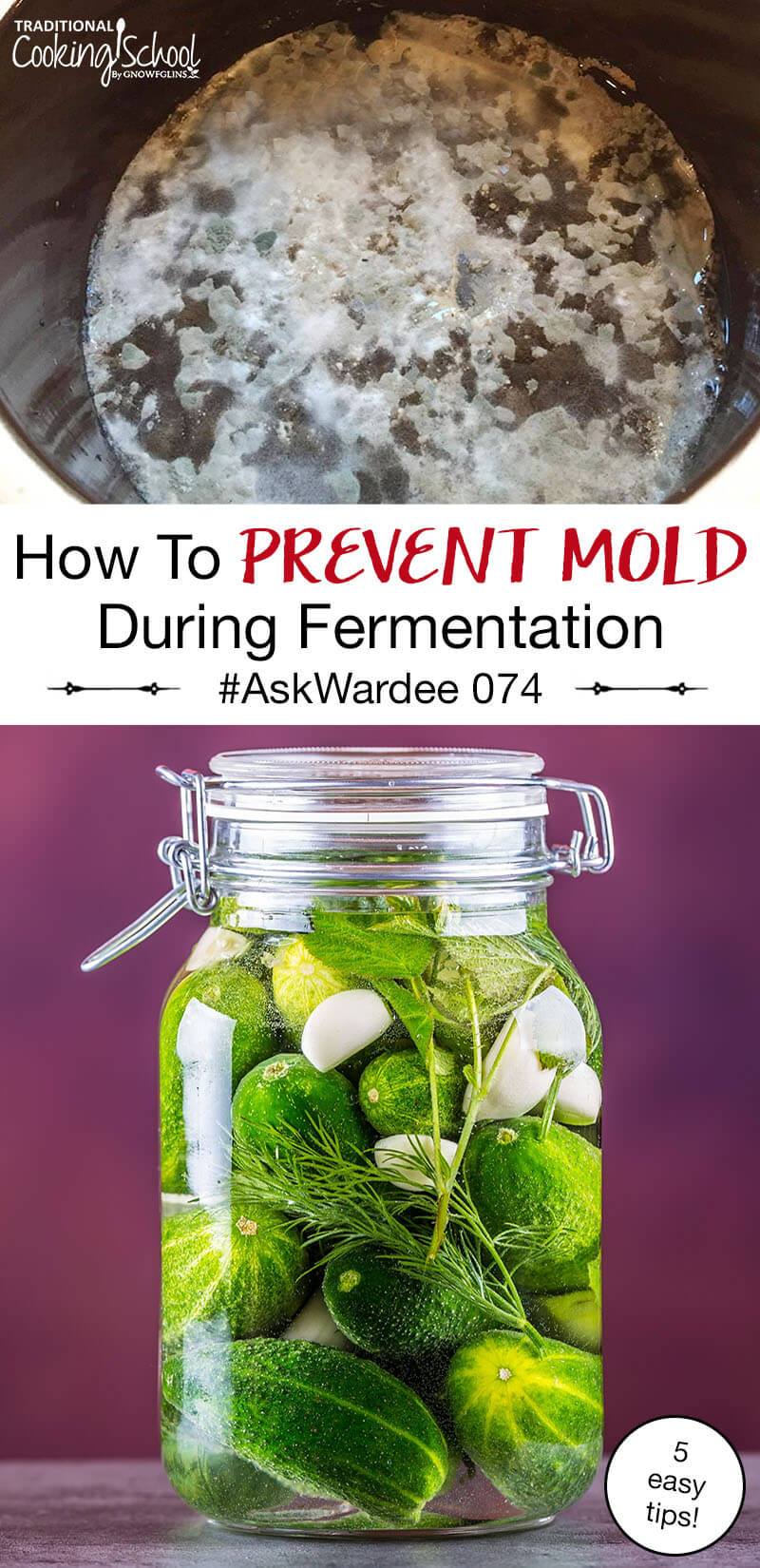 Can You Stop Fermentation Without Pasteurization? – KLBZW