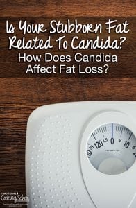 Is Your Stubborn Fat Related To Candida & Does Candida Affect Fat Loss?