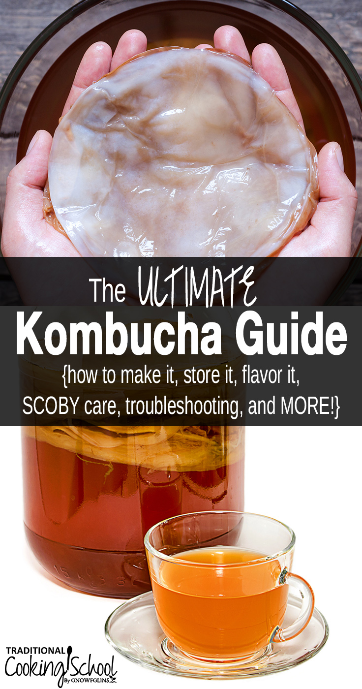 The ULTIMATE Kombucha Guide | Traditional Cooking School