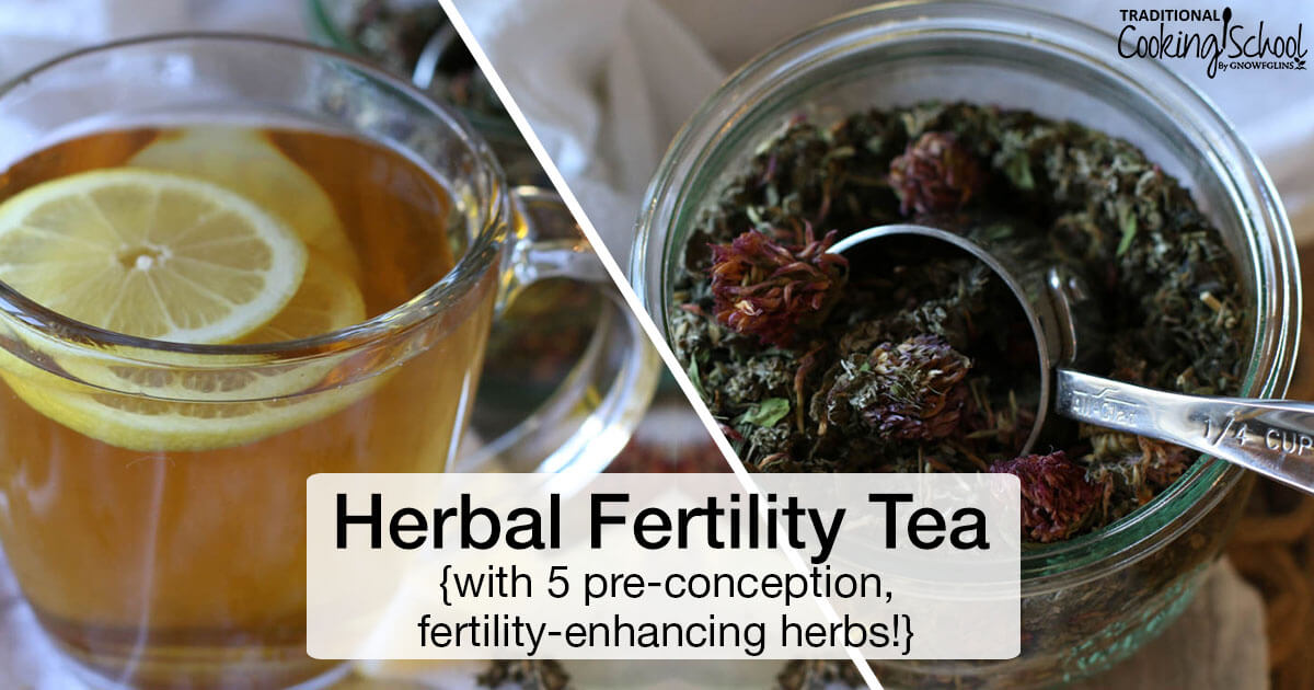 Herbal Fertility Tea {with 5 Pre-conception, Fertility-enhancing Herbs!}