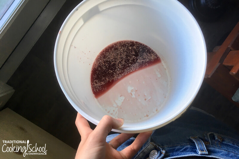 The Best Guide To Easy Worm Composting & DIY Bokashi Bucket | LaptrinhX ...