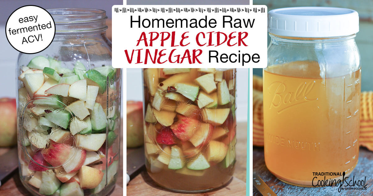 Homemade Raw Apple Cider Vinegar Recipe Easy Ferment