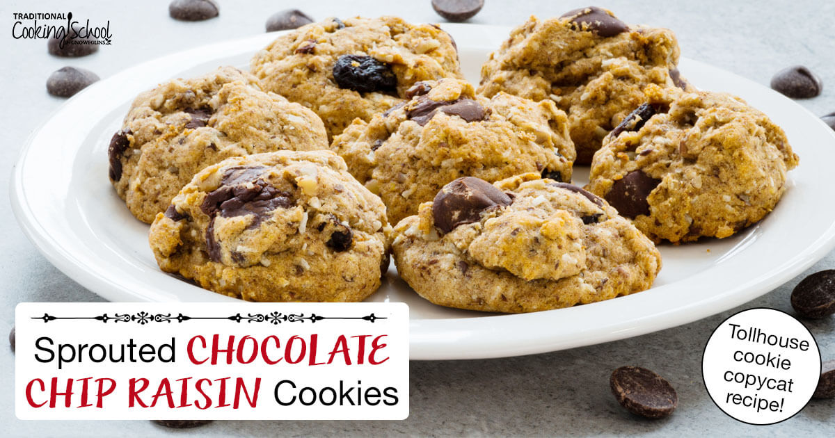 How To Make Basic Whole Grain Tollhouse Cookies (Sprouted)