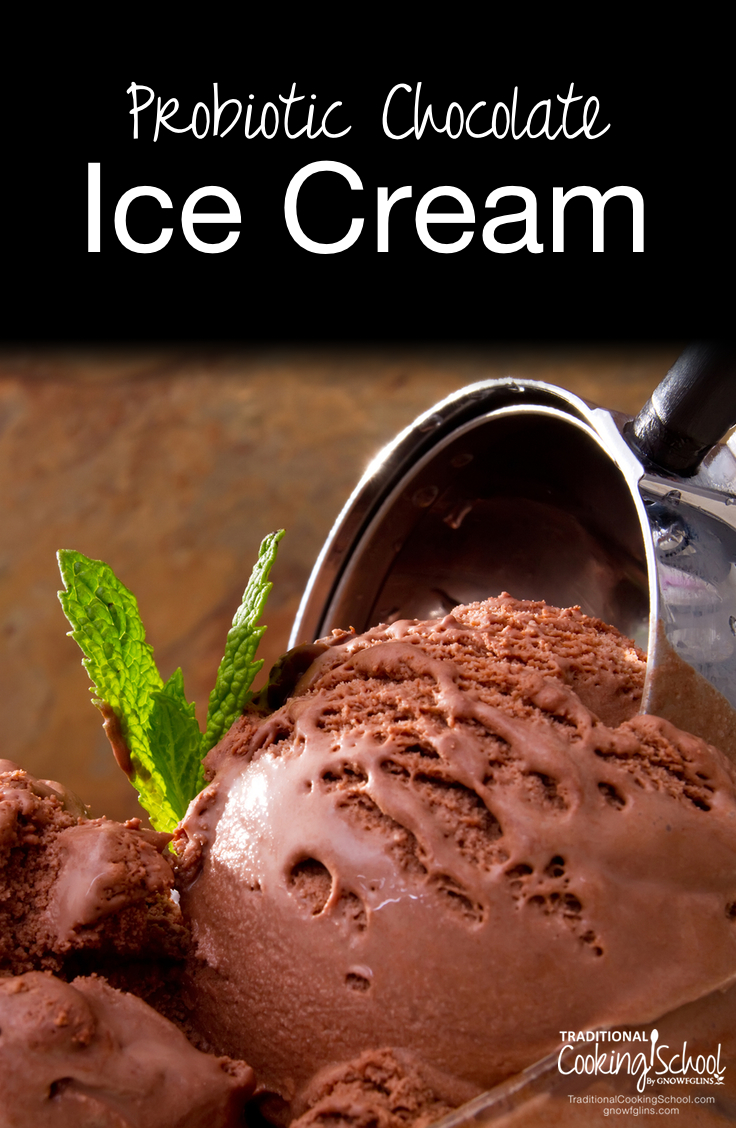 Probiotic Chocolate Ice Cream | This ice cream has a secret ingredient... Its tart flavor is not noticeable in this ice cream, but it still offers its benefits to those who gobble it up (and they will gobble it up, I promise!). | TraditionalCookingSchool.com