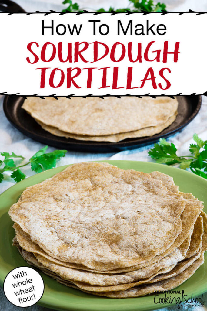 How To Make Sourdough Tortillas With Whole Wheat Flour