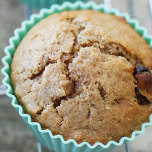 Whole Grain Soaked Muffins (gluten-free & dairy-free options!)