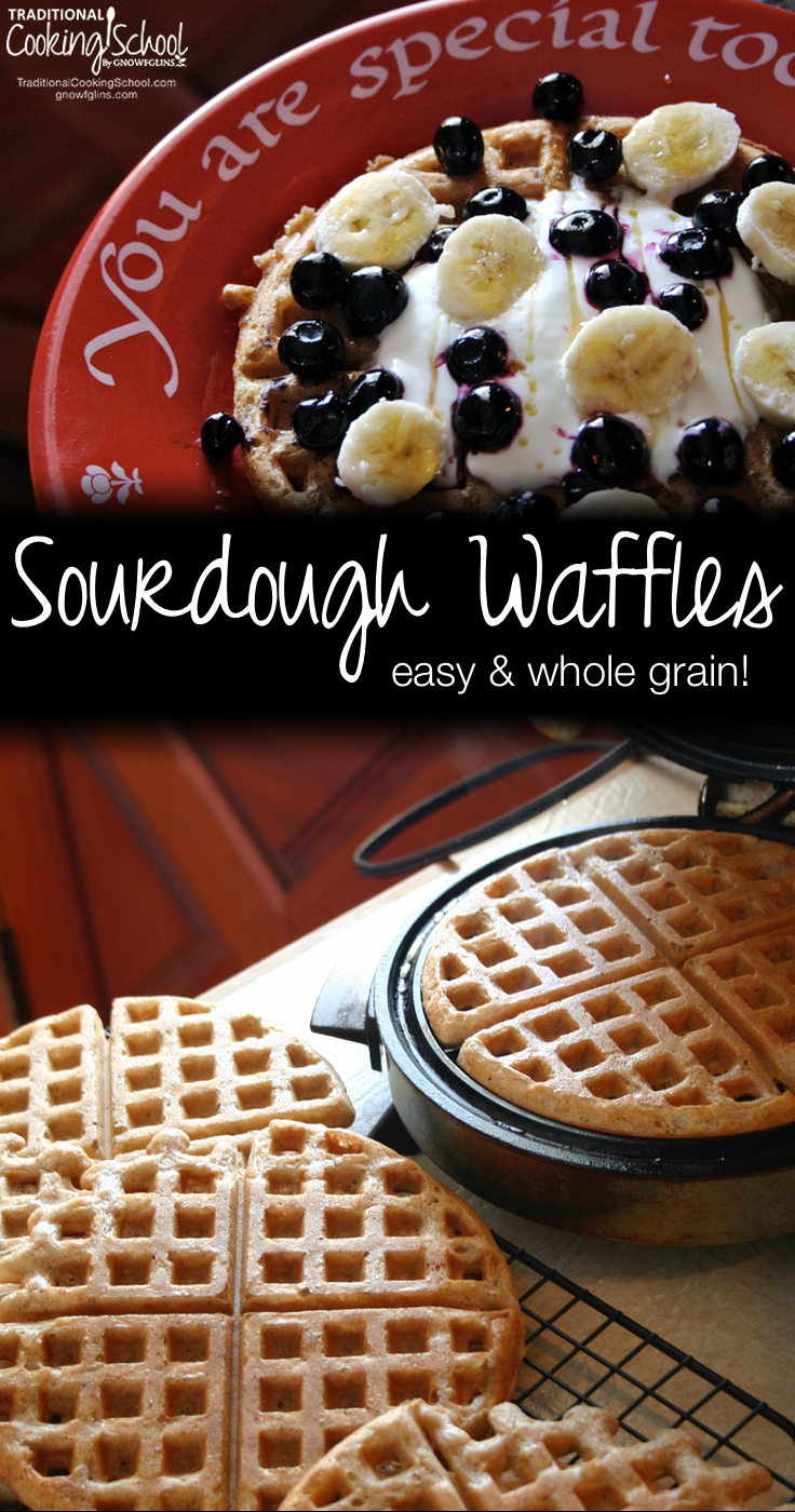 Whole Grain Sourdough Waffles | Today, Erin is sharing a recipe for whole grain sourdough waffles. Using this recipe, you can create your waffles from room temperature starter. Do you have two cups of starter out at room temperature? Good -- you can make waffles right now! | TraditionalCookingSchool.com