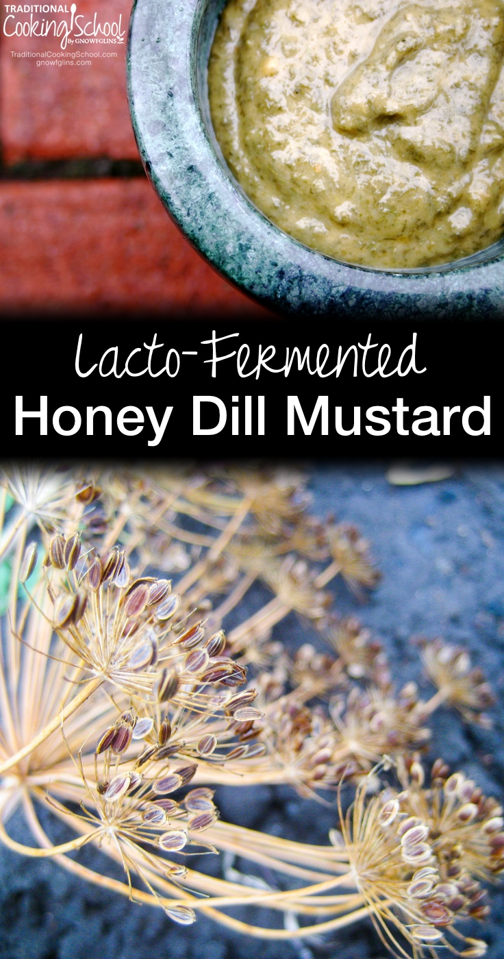 Lacto-Fermented Honey Dill Mustard | Oh, the zip and zing a little lacto-fermented mustard can add to a sandwich! My mouth waters just thinking about it! If you have a few minutes and a few simple ingredients, you can whip this honey dill mustard up in no time. | TraditionalCookingSchool.com