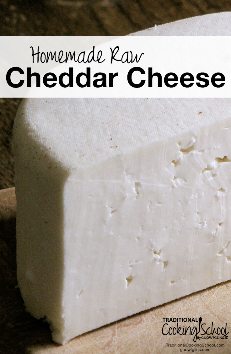 Homemade Raw Cheddar Cheese | They say this cheddar gets better with age. I don't know about that because we ate this homemade raw cheddar cheese fresh. For those of you without a cheese press, you can eat the curds fresh and un-pressed! | TraditionalCookingSchool.com