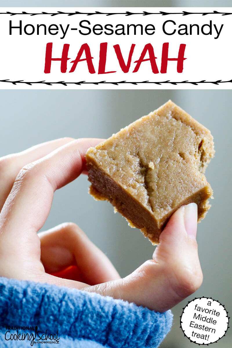 Halvah (Middle Eastern Honey-Sesame Candy) | Halvah is my absolute favorite Middle Eastern treat. I usually make it around Easter-time. The sweet honey and sesame tahini match my celebration of the Savior's resurrection and the coming of Spring. | TraditionalCookingSchool.com
