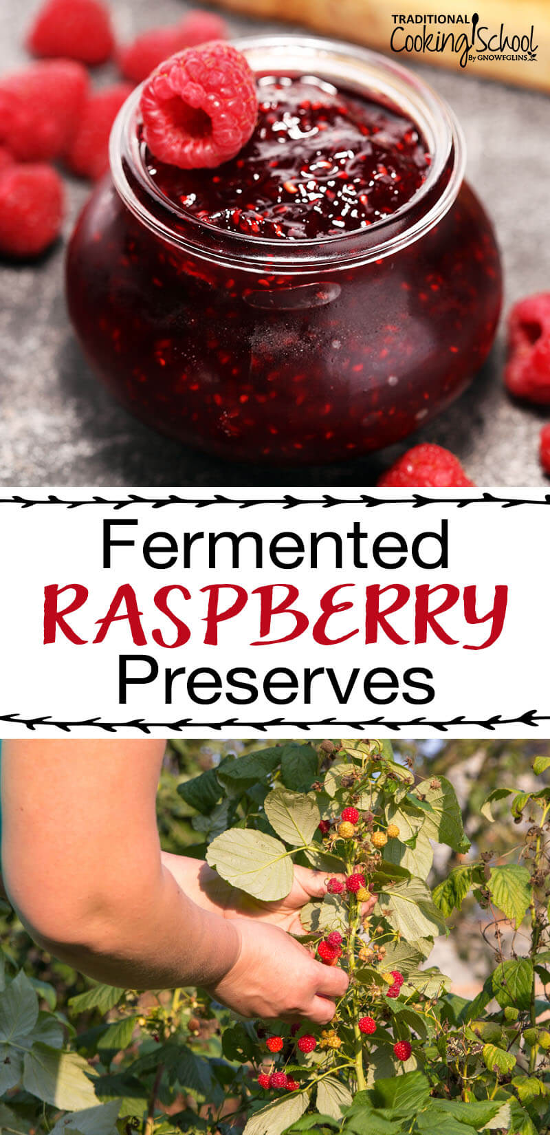 Fermented Raspberry Preserves | My favorite way to preserve raspberries is to make a lacto-fermented preserve. This increases vitamins, enzymes and probiotics making these preserves even better then the berries alone. | TraditionalCookingSchool.com