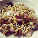 Sprouted lentil salad with red onions, kalamata olives and dressing in a white bowl.