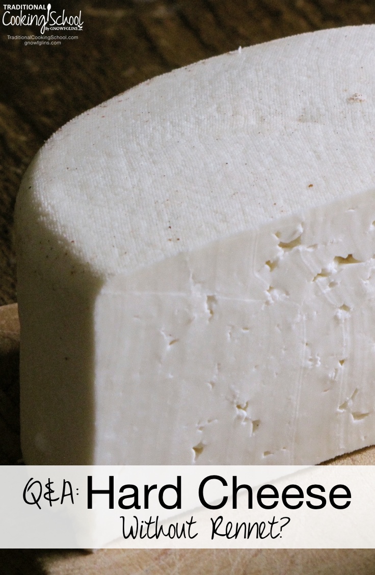 Q & A: Hard Cheese Without Rennet? | "Can I make hard cheese without rennet?" Michael asks. Here, I explain the process of making hard cheese, the importance of rennet, and answer Michael's question! | TraditionalCookingSchool.com