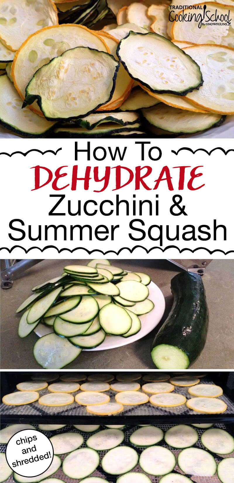 What do you do when zucchini and summer squash are exploding in your garden? Make chips, noodles or shreds! These recipes are the perfect, low carb healthy snacks and make for quick and easy meals. You can dehydrate them in your dehydrator or in your oven! #zucchini #squash #dehydrator #recipes #chips #noodles