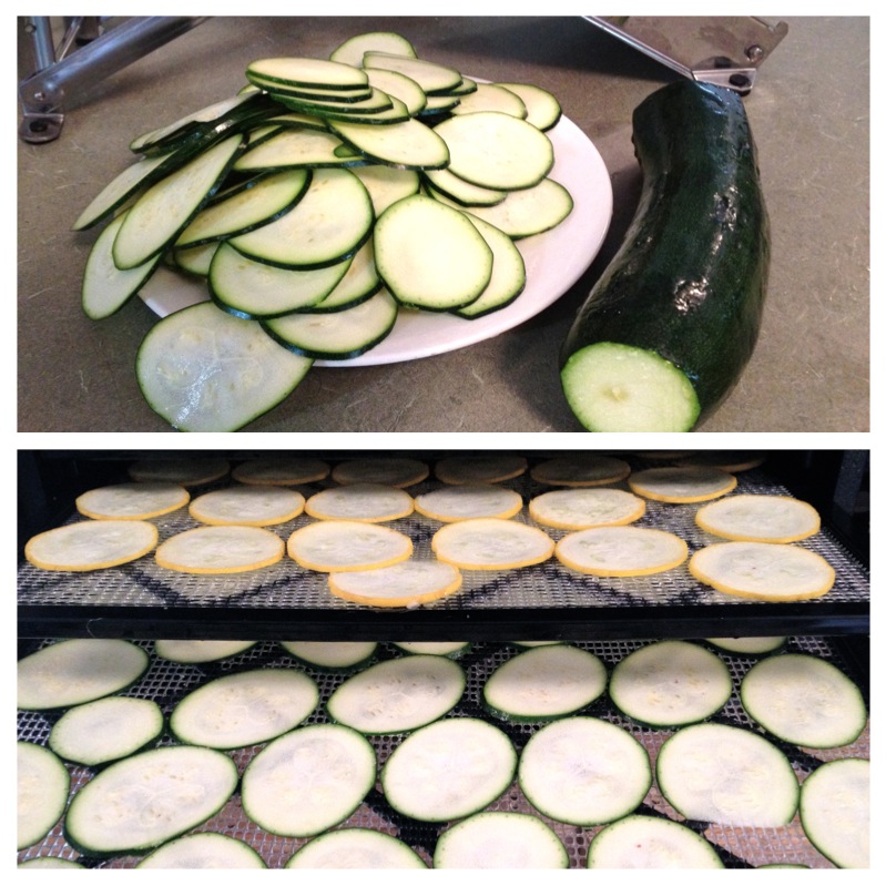 How To Dehydrate Zucchini & Summer Squash | For today's seasonal recipe round-up, I'd like to show you how to dehydrate zucchini and summer squash! Preserving an abundant harvest frugal idea. The two best ways I've found to dehydrate zucchini are: shredded and thinly sliced. The thinly sliced become zucchini chips and they're really good! | TraditionalCookingSchool.com