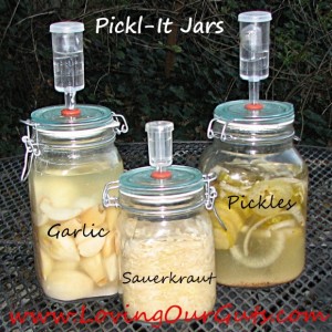 The Best Jar Opener to Buy - My Fermented Foods