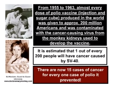 4 Things You Didn't Know About Vaccines | In lieu of a podcast today, I want you to tune in to another broadcast: a recording of a two-hour lecture by chiropractic doctor R. E. Tent of Diverse Health Services in Novi, Michigan. It will blow your mind -- it did mine. Please, please watch this video. You'll learn 4 things about vaccines I bet you didn't know. | TraditionalCookingSchool.com