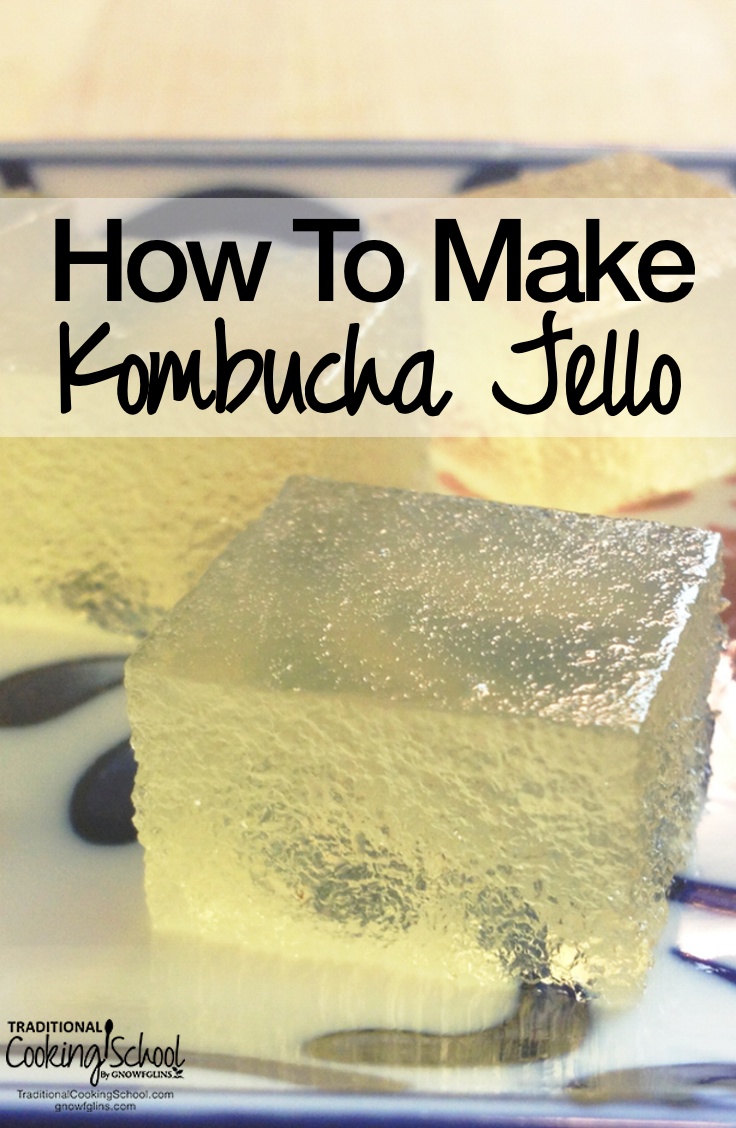 Kombucha Jello | What fun! Here's a health supplement in a totally fun package. Kombucha jello has just 3 ingredients -- probiotic-rich Kombucha, enzyme-rich raw honey, and gut-healing gelatin. | TraditionalCookingSchool.com