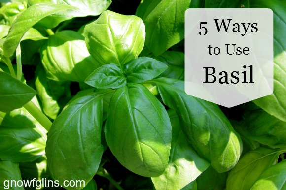 5 ways to use Basil - Gnowfglins