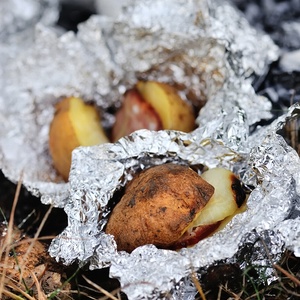 https://traditionalcookingschool.com/wp-content/uploads/2013/07/Aluminum-Foil-Traditional-Cooking-School-GNOWFGLINS-square.jpg