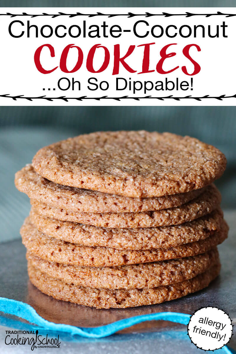 Chewy Chocolate Coconut Cookies -- Allergy-Friendly & Oh-So-Dippable | You know you're on to something good when your husband says, "Finally... a cookie I can dip. I haven't been able to do this since Oreos." They're also allergy-friendly cookies -- free of gluten, grain, egg, and dairy. Oh, and did I mention the crispy, chewy, dippable texture? | TraditionalCookingSchool.com