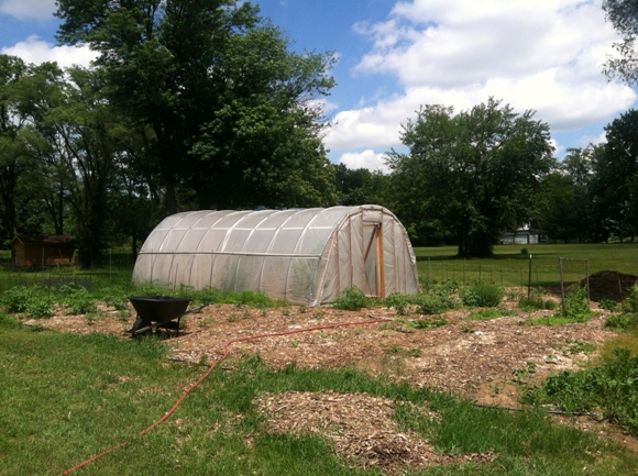Rockin' the Green Life Farm | Welcome back to another season of farm and homestead tours! I'm ready for more entries for 2013! Please read here for guidelines . We're heading down home... to your farms! Urban, ... | TraditionalCookingSchool.com