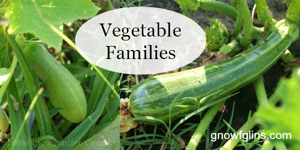 Vegetable Families