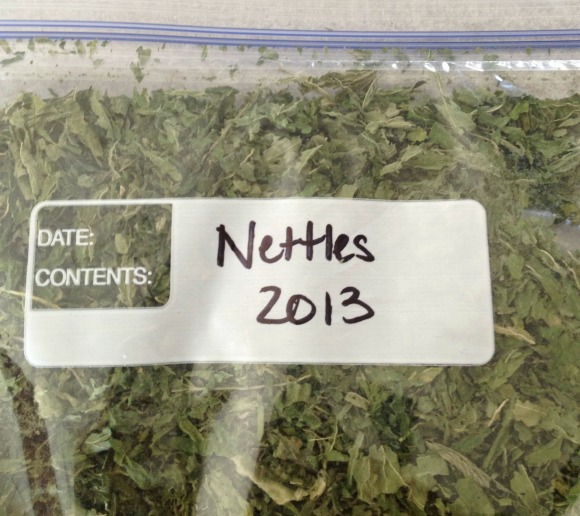 Stinging Nettle Part 2: Using Nettle in Everyday Life | You'll love the ideas shared on how you can use this useful herb in your kitchen. You can purchase dry nettle leaves or I’ll show you how to gather your own and dry them at home. | TraditionalCookingSchool.com