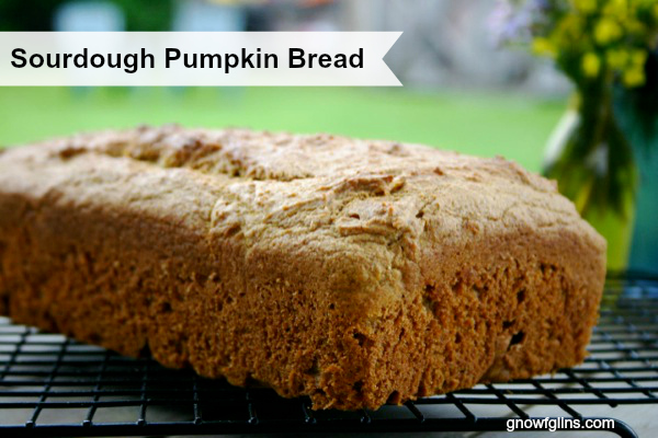 Sourdough Pumpkin Bread | Wool blankets, cozy slippers, candles, and pumpkin all walk hand in hand when autumn rolls around up here in the north. Warm drinks and pumpkin bread are welcome on days like this. | TraditionalCookingSchool.com