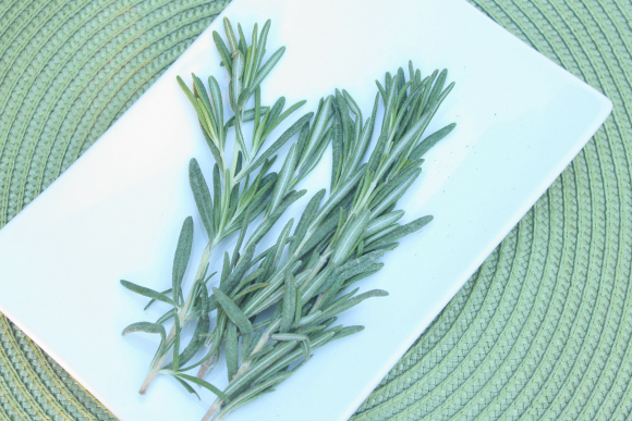 Spotlight on Herbs: Rosemary | Rosemary is one of my favorite winter-time herbs. With the cold weather and low light levels of the winter months, very few herbs will grow here, inside or out. Although I long for a full kitchen herb garden that provides fresh herbs all year long (perhaps with the aid of a grow light) for now I have to be content with what will survive in front of a sunny window. | TraditionalCookingSchool.com