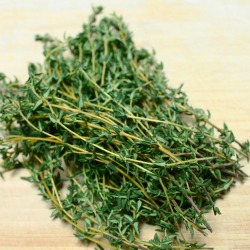 Spotlight on Herbs: Thyme | Since winter is still firmly upon us, it's a wonderful time to think about thyme. Not only is it a great flavoring in all of the warm soups, stews, and roasts we're busy cooking, but it's a natural healer of colds, coughs, and sore throats. Thyme is an important addition to any kitchen or medicinal herb garden! | GNOWFGLINS.com
