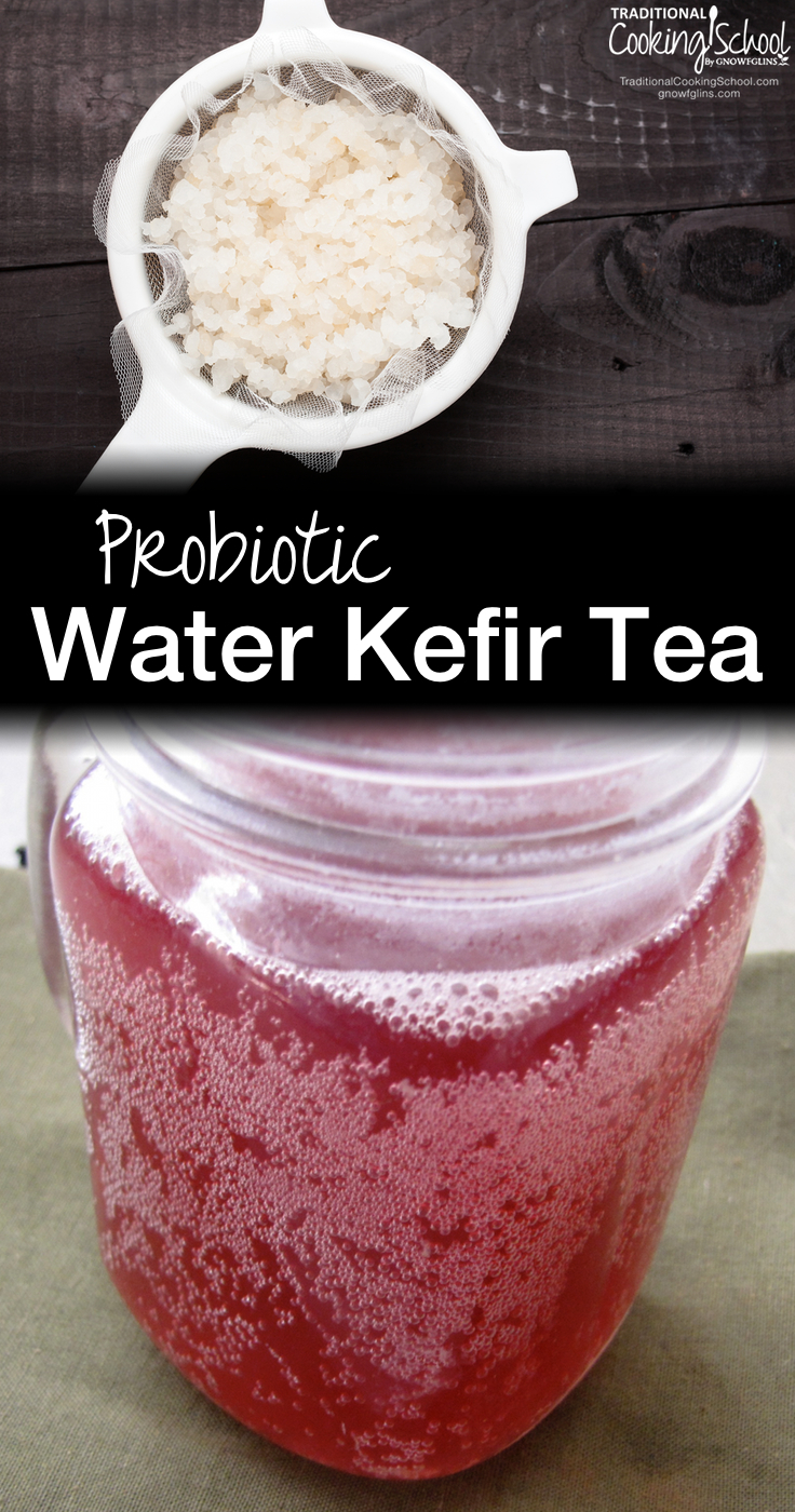 Probiotic Water Kefir Tea | When I began to make water kefir, I ran into a problem pretty quickly: what was I going to do with it? All of the probiotic elixir coming out of my kitchen just couldn't go to waste! At first I mixed the water kefir with freshly-squeezed lemon juice to create lemonade, but soon my family wanted more variety. So... I experimented with tea. | TraditionalCookingSchool.com