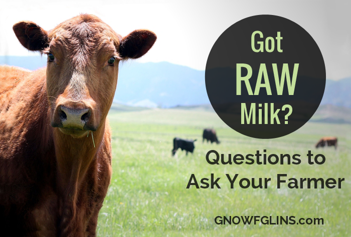Got Raw Milk? Questions to Ask Your Farmer | I love raw milk and I personally believe it's one of the most nourishing foods. But I'm aware not everyone shares my enthusiasm. Like most things, intentionality and being an informed consumer plays a key role. Raw milk, unlike many foods, is remarkably safe to consume due to its highly probiotic nature. But, if it's produced, stored, or transported in unsafe or unclean ways, it may become unsafe to ingest. Here are a few questions you should ask to help you choose your raw milk source. | TraditionalCookingSchool.com