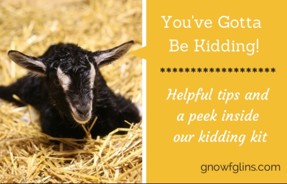 You've Gotta Be Kidding! Helpful Tips and Kidding Kit | Kidding season is almost upon us and we couldn't be more excited! Baby goats are simply the best -- I can't wait to meet the kids that I've already felt kicking around in their momma's bellies. I will be sharing how we support the does through their pregnancies, what we keep in our kidding kit, and the tools we use to give the babies the best welcome into the world! I'll also share what a typical kidding looks like and some resources to help you, just in case things don't go textbook-perfect. | TraditionalCookingSchool.com