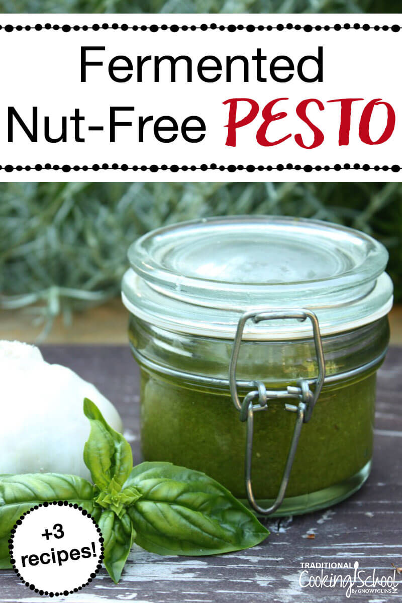 Fermented Nut-Free Pesto (+3 recipes) | Ahhhh, pesto. It's so simple, yet adds such complexity to hot or cold dishes. It has so few ingredients and takes so little time to make. In the case of this pesto, it's nut-free and also packs a powerful probiotic punch. | TraditionalCookingSchool.com