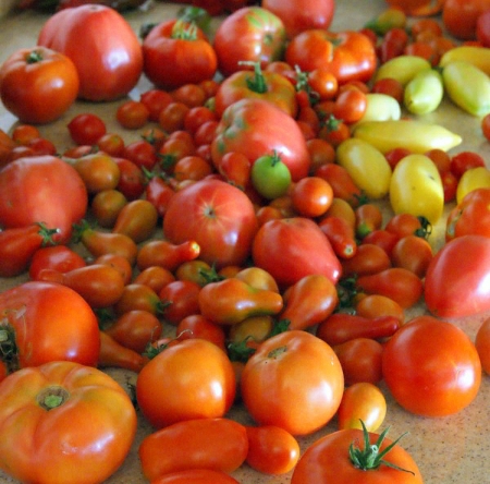 Tomatoes: Easy Steps to a Bountiful Summer Harvest | As every gardener knows, once you taste your own homegrown tomatoes, you'll never go back to store-bought. While these favorite garden vegetables are pretty easy to grow, here are a few tips designed to help you have a successful harvest. | GNOWFGLINS.com