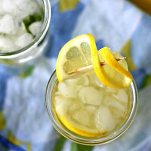 2 Summer Spritzers | Ready for something a little more pizazz-y than water? Me too! I love water, but I also love a drink with some fizz -- and electrolytes! These refreshing summer spritzers fit the bill! | TraditionalCookingSchool.com