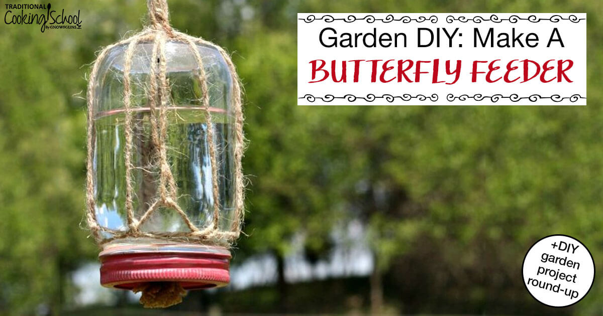 How To Make A DIY Butterfly Feeder For Your Garden