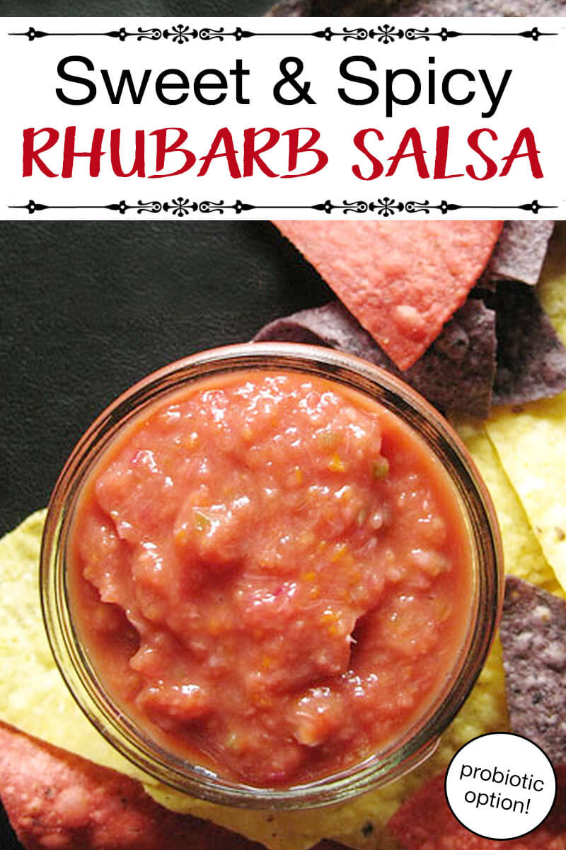 Rhubarb Salsa | Every year at this time my kitchen and freezer overflow with rhubarb-laden goodies. But my favorite use for rhubarb isn't a sweet dessert, though -- it's this scrumptious rhubarb salsa. | TraditionalCookingSchool.com