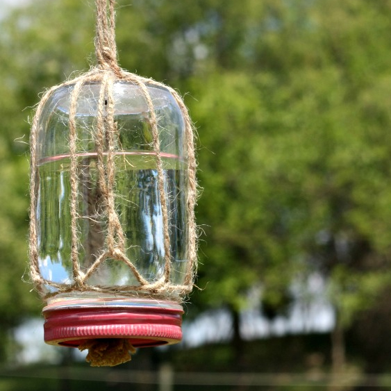 How to Make A DIY Butterfly Feeder | Here's how to make a DIY butterfly feeder that makes a wonderful addition to any garden or flower bed. This simple feeder, made from a mason jar, some twine, and a piece of sponge, will help attract these friendly insects to your garden and give them a place to refuel. | TraditionalCookingSchool.com