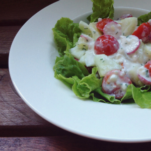 Cottage Radish Salad | The garden was producing baby greens, green onions, radishes, and herbs. I had cherry tomatoes and cucumbers from elsewhere. That's how this salad was born. :) By topping the greens with the vegetable mixture, you get a lovely presentation and greens that stay crisp until they hit your mouth. For the most flavor, texture, and fun, be sure to get both toppings and greens in each bite! | GNOWFGLINS.com