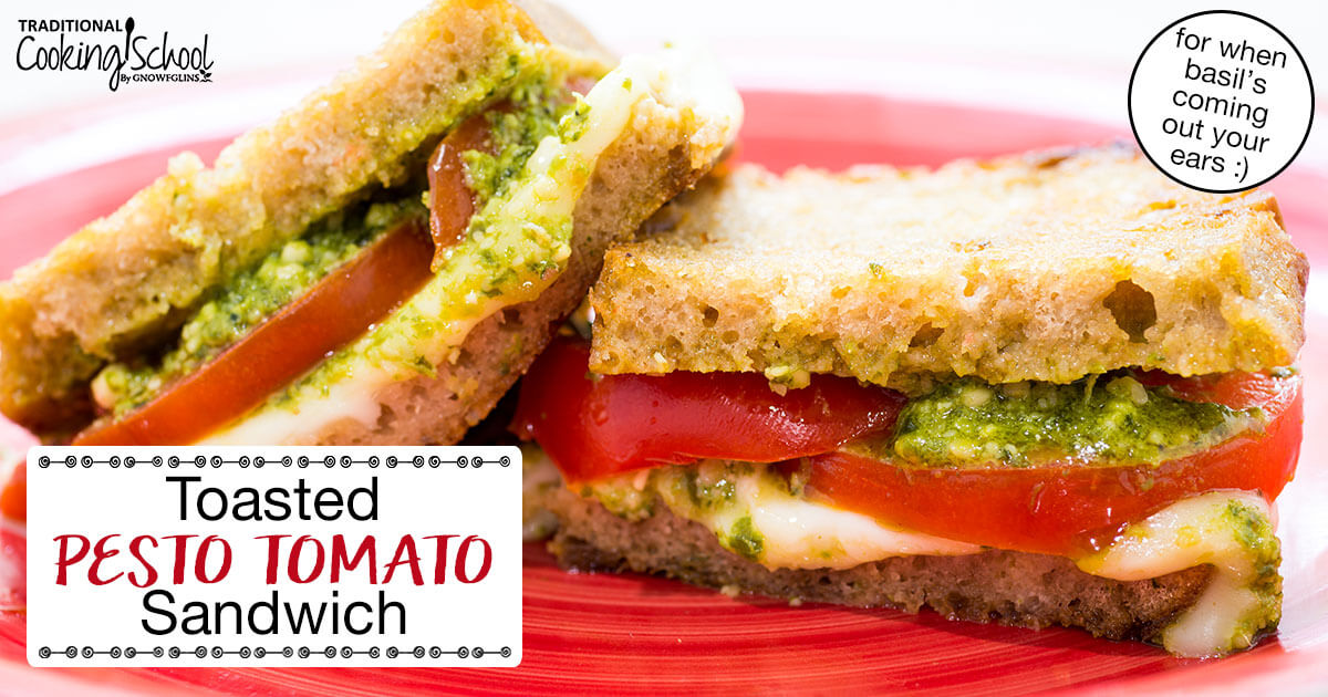 Our Toasted Pesto Tomato Sandwich Recipe 6056