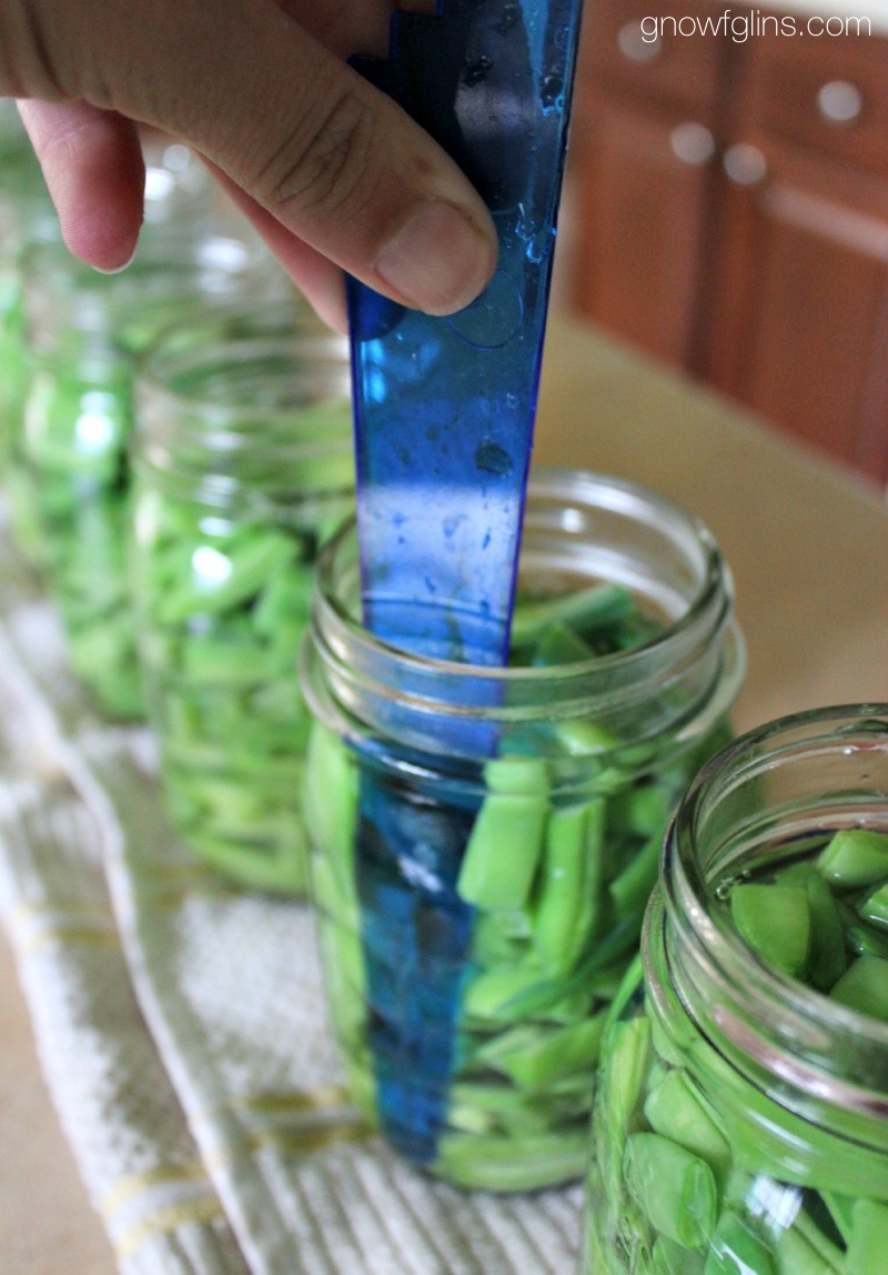 How To Pressure Can Green Beans (Raw-Pack Method) | We can't sacrifice food safety. I consider some quick canning methods to be unsafe. Not the raw pack method, though -- it's both safe and time-saving. Learn how to pressure can green beans using the raw-pack method! | TraditionalCookingSchool.com